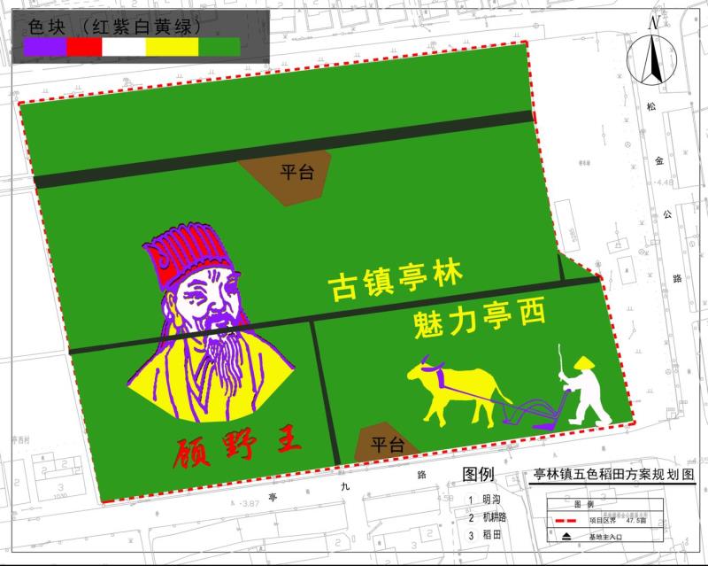 龙8国际十月稻香飘，上海发布《顾野王》